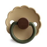 Acorn