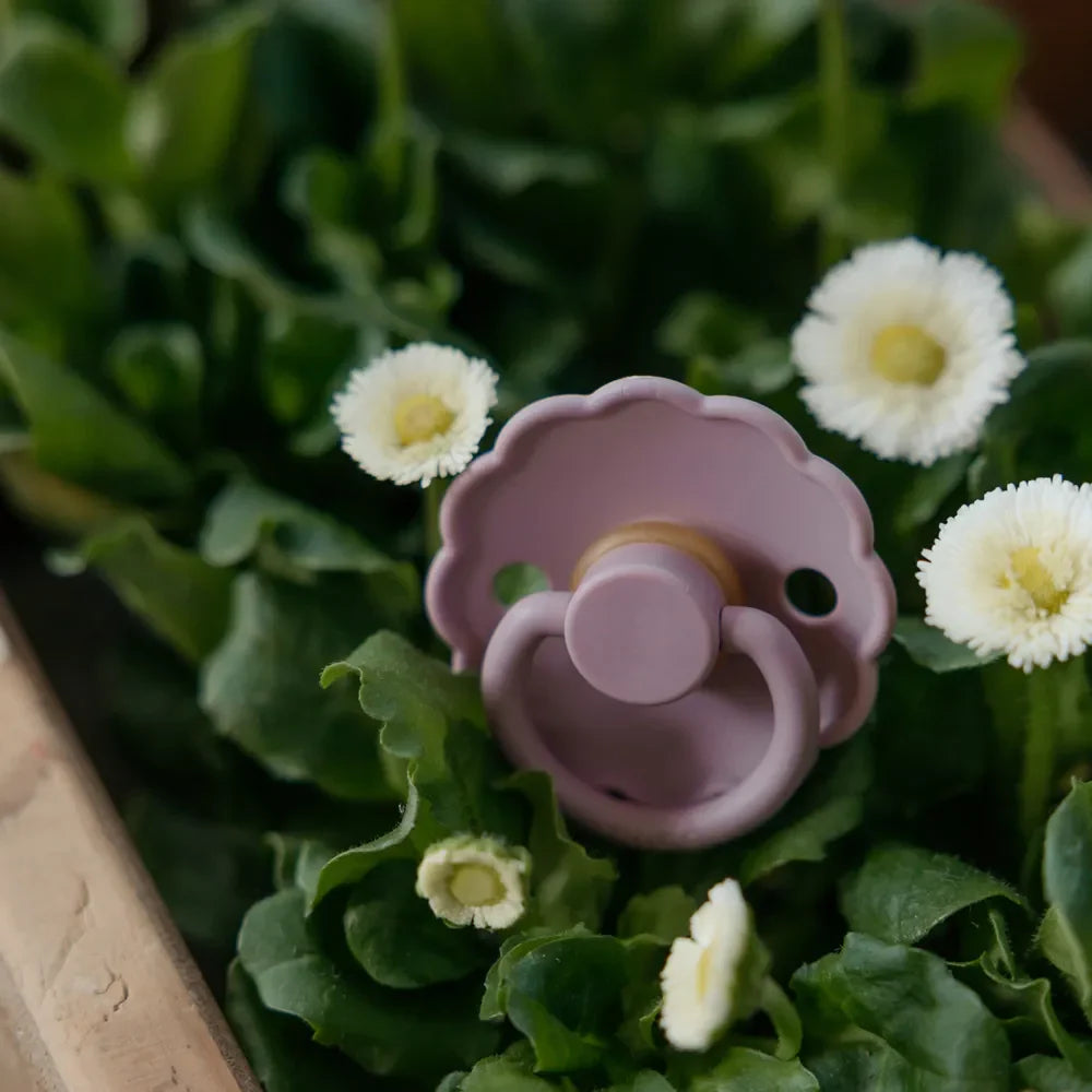 FRIGG Daisy - Heather