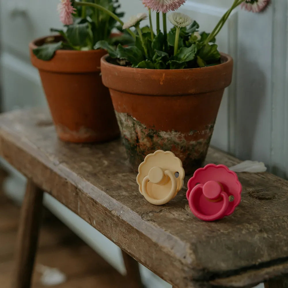 FRIGG Daisy - Pale Daffodil/Fuchsia - 2-pak