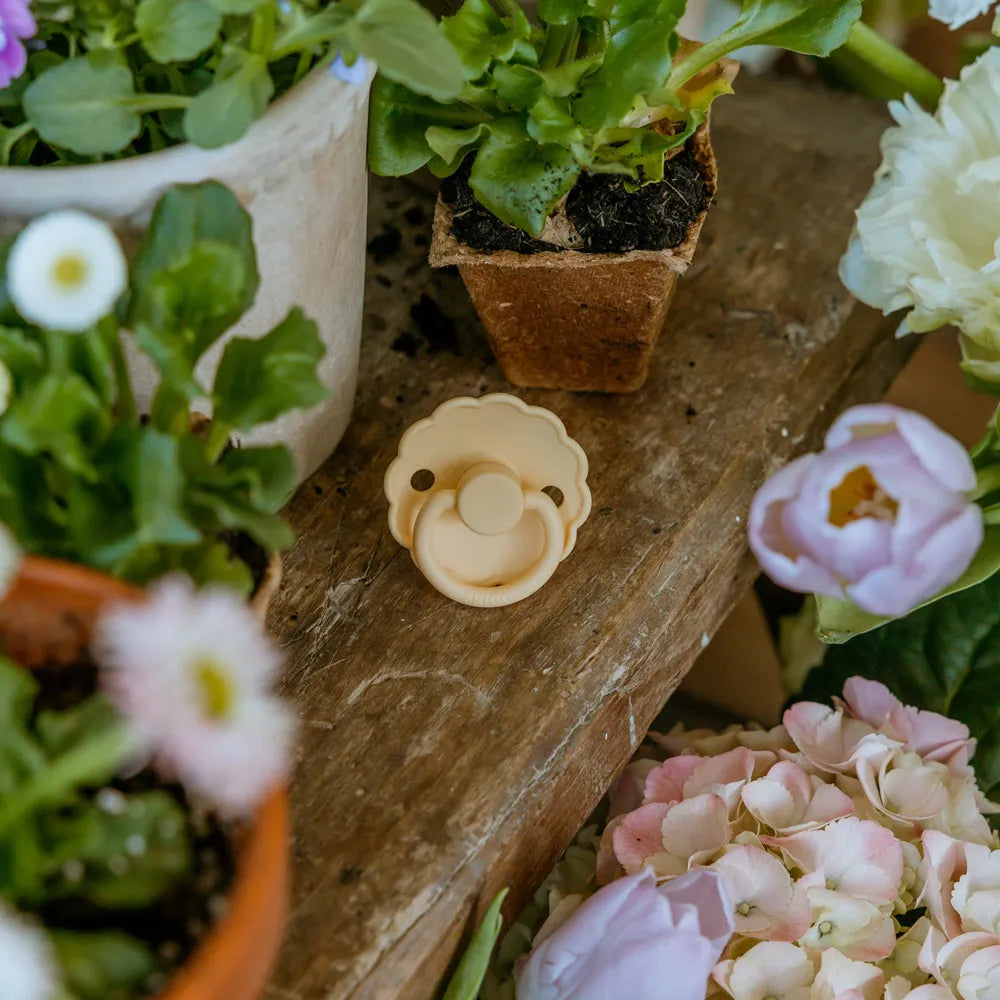 FRIGG Daisy - Pale Daffodil/Fuchsia - 2-pak