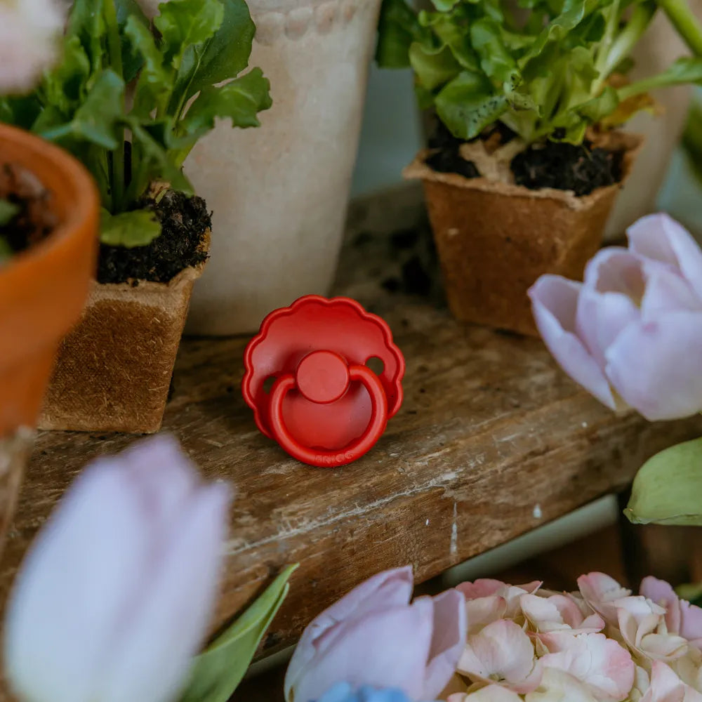 FRIGG 4-pak - Rosy Romance