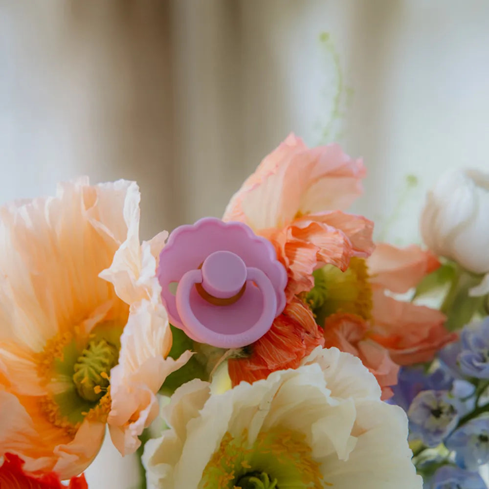 FRIGG Daisy - Cream/Lupine - 2-pak