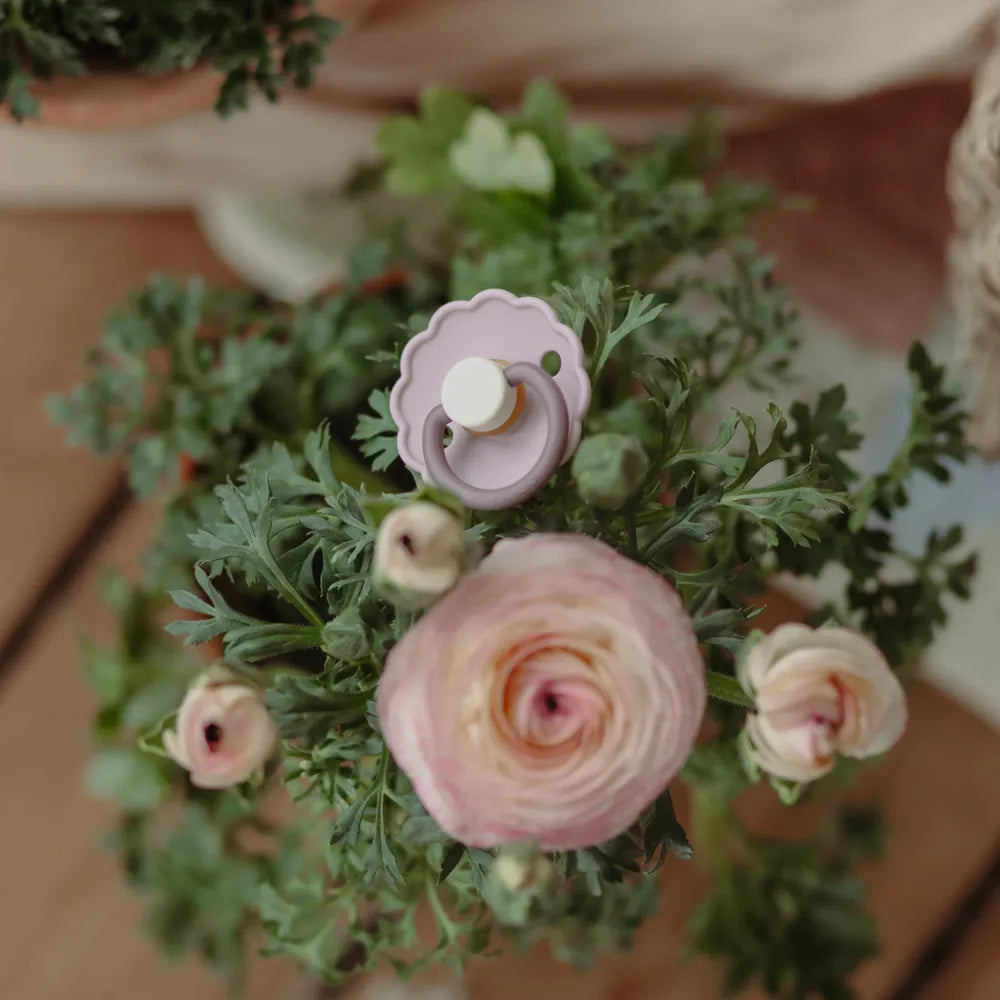 FRIGG Daisy - Lavender Haze/Cream - 2-pak