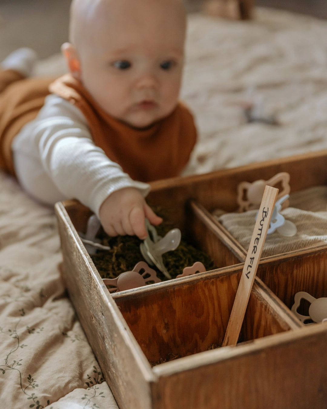 Littledeluxe