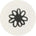 Black Daisy