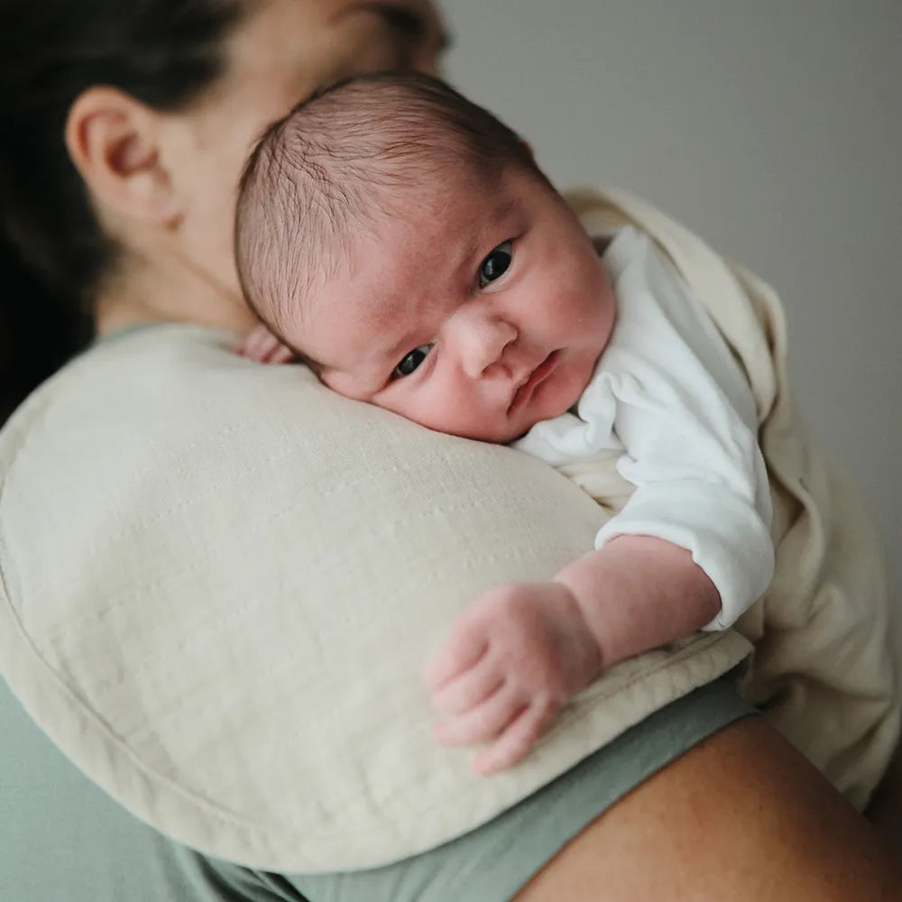 Mushie gylpeklude - 2-pak